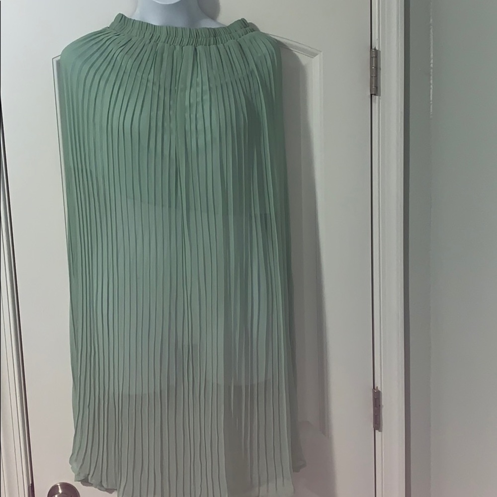 Skirt/ Dress